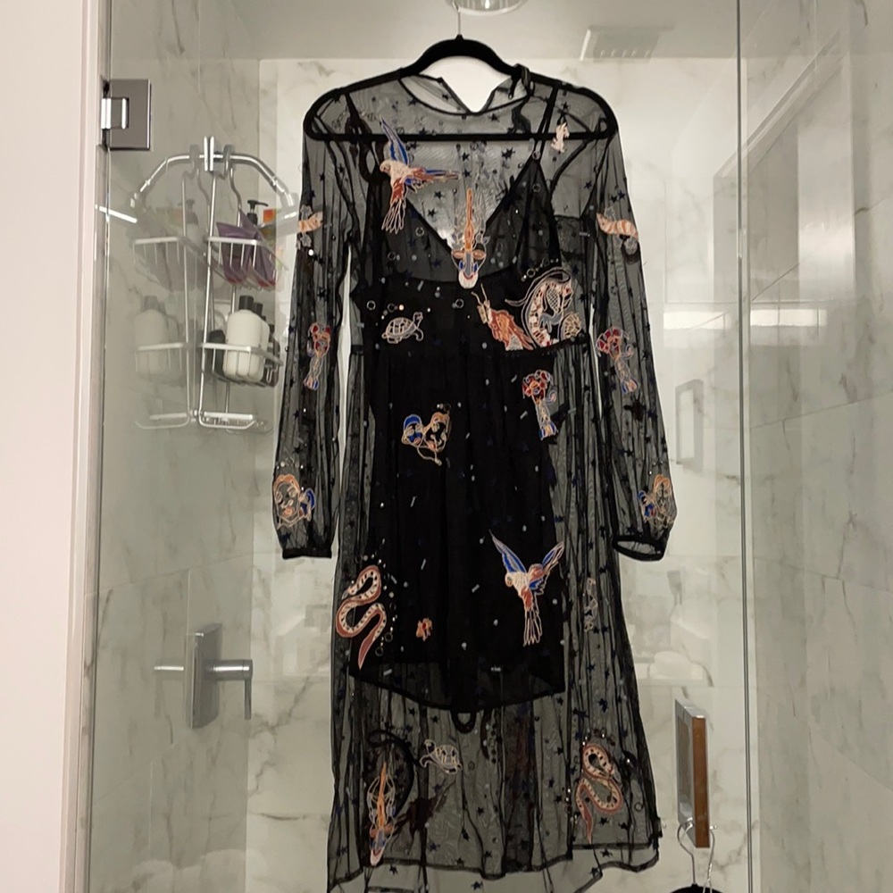 Zara Sheer Mesh Embroidered Dress